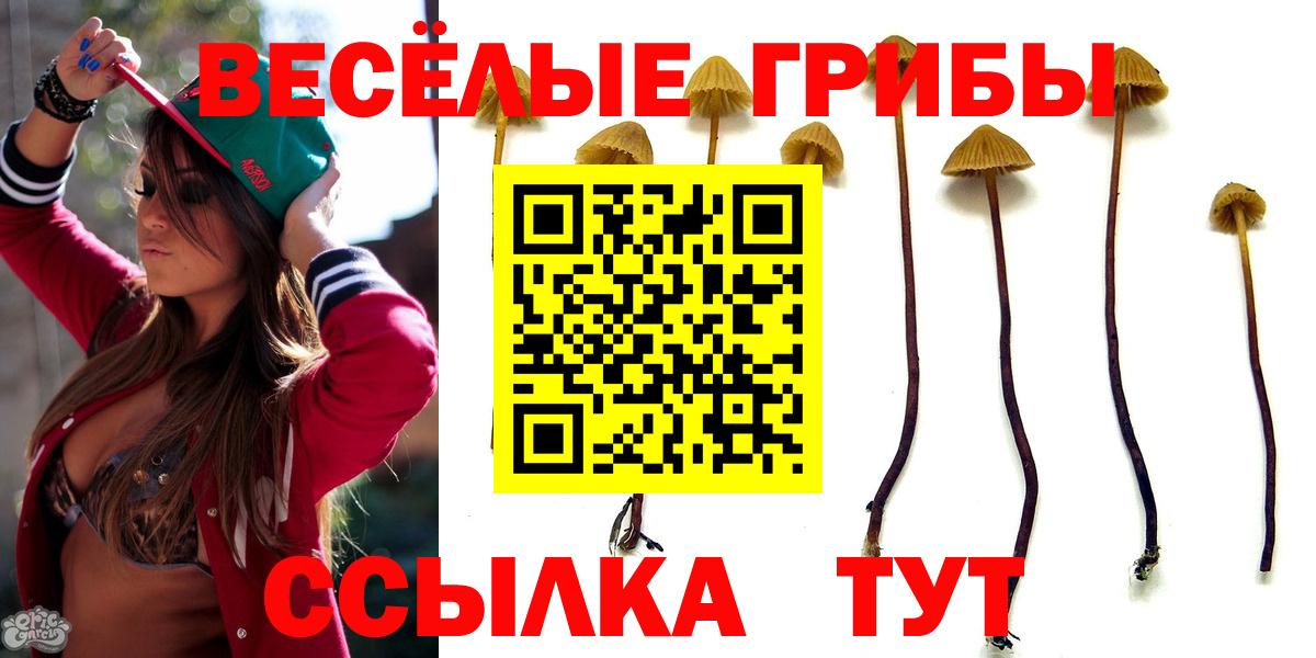 Псилоцибиновые грибы мицелий Нижнеудинск
