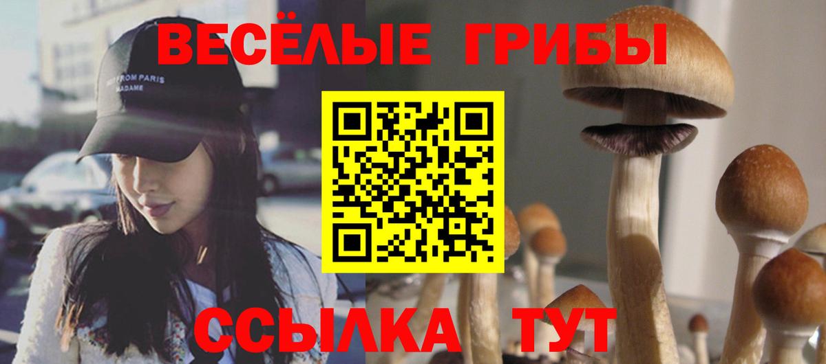 где купить наркотик  Вход с VPN  Нижнеудинск  Галлюциногенные грибы Magic Shrooms 